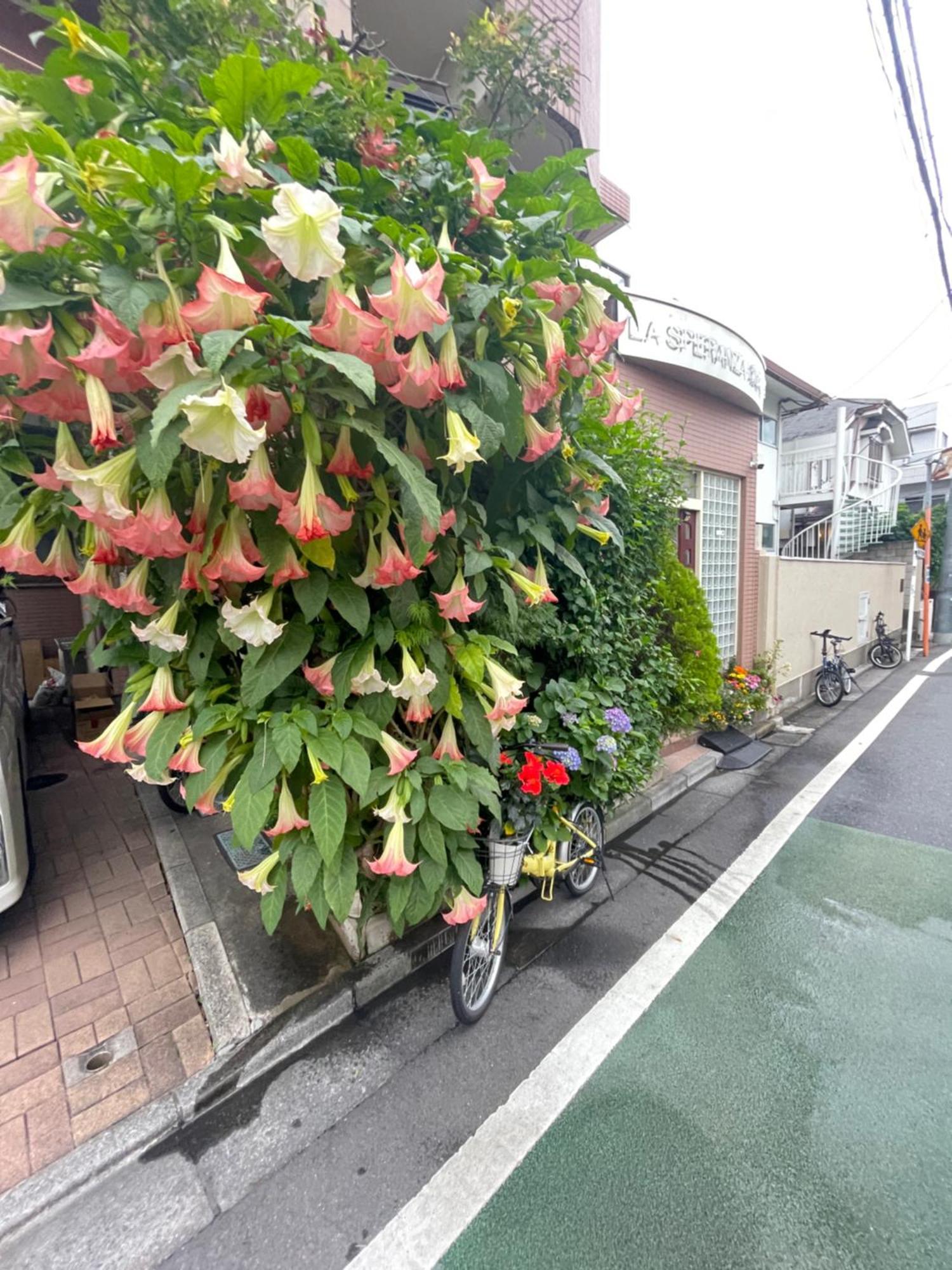 新宿庭院の屋-Shinjuku Garden Home -28 Square Meters King Size Bed Garden Room Tokyo Bagian luar foto