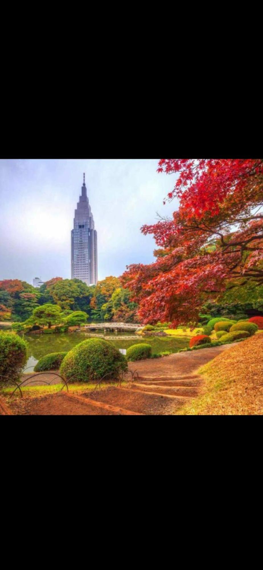 新宿庭院の屋-Shinjuku Garden Home -28 Square Meters King Size Bed Garden Room Tokyo Bagian luar foto