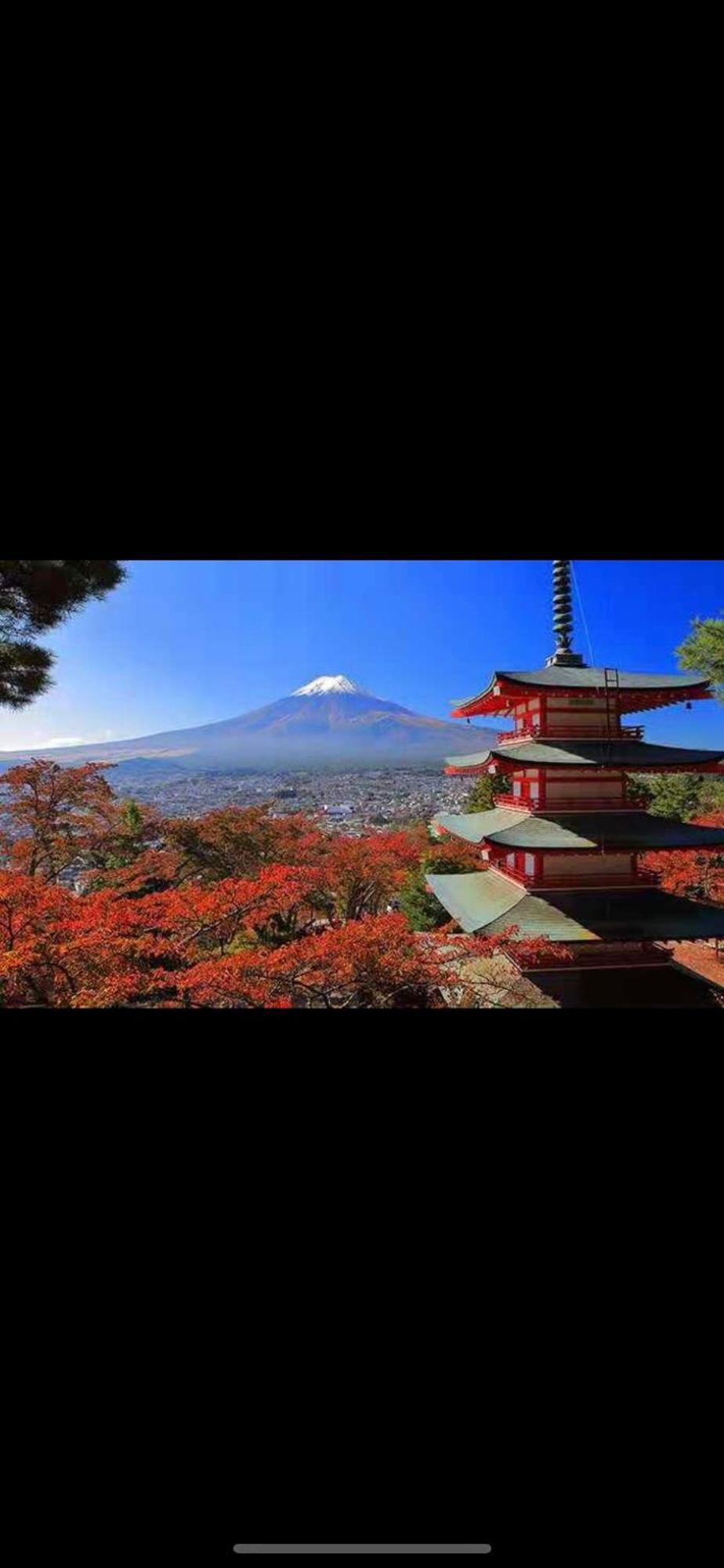新宿庭院の屋-Shinjuku Garden Home -28 Square Meters King Size Bed Garden Room Tokyo Bagian luar foto